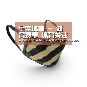成人布口罩