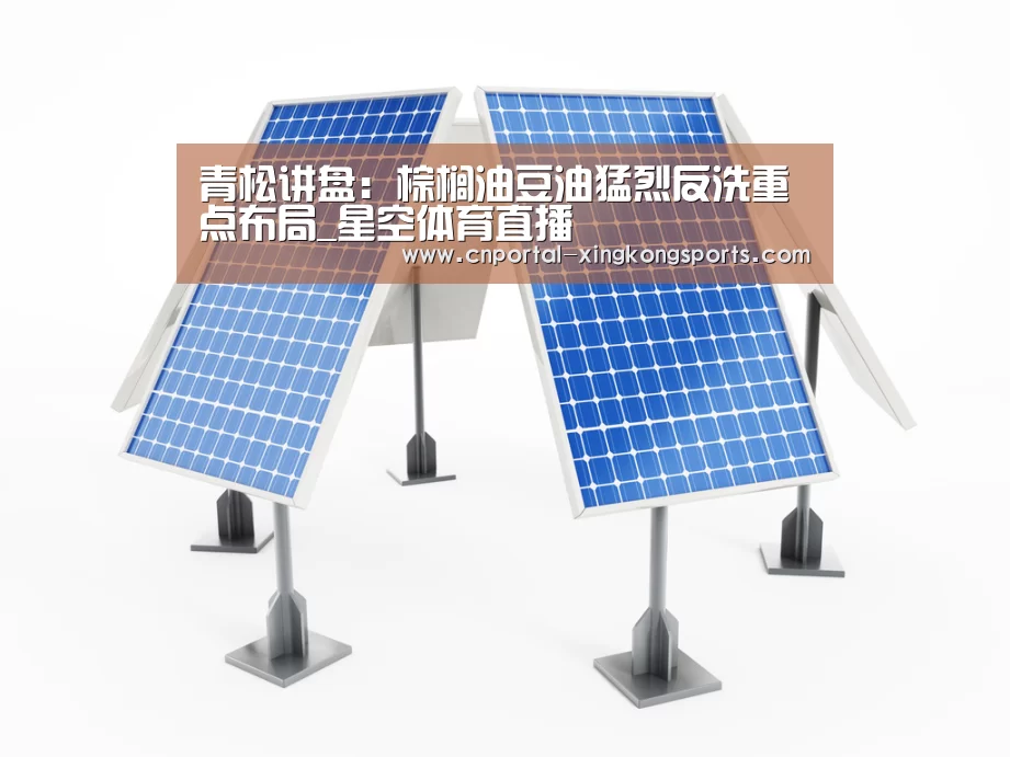 青松讲盘：棕榈油豆油猛烈反洗重点布局_星空体育直播