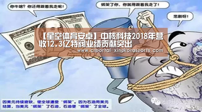 【星空体育安卓】中核科技2018年营收12.3亿特阀业绩贡献突出(图1) 星空体育直播