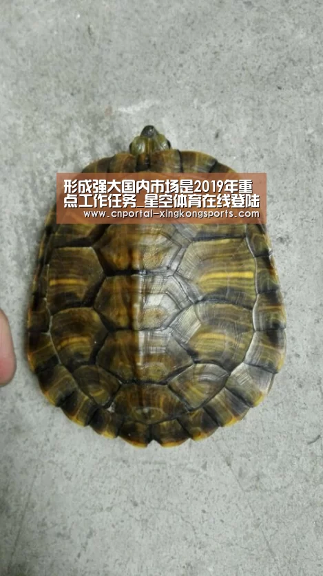 星空体育在线登陆