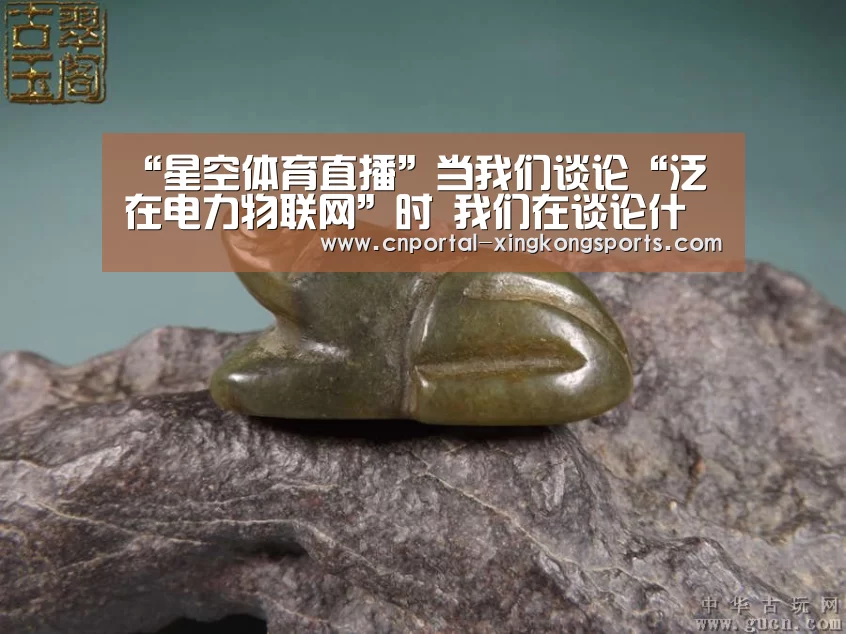 “星空体育直播”当我们谈论“泛在电力物联网”时 我们在谈论什么？